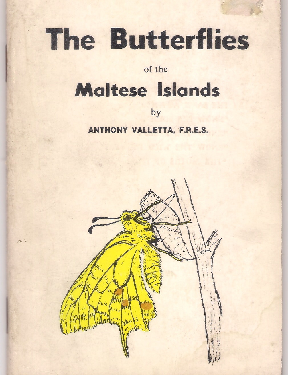 The Butterflies Of The Maltese Islands | Malta Online Bookshop