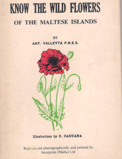 know the wild flowers