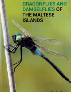 dragonflies and damselflies