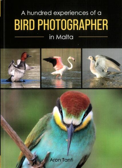 A Hundred Experiences of A Bird Photographer In Malta
