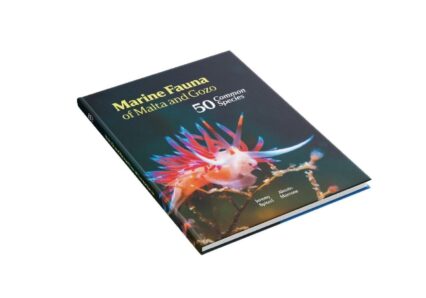 Marine Fauna Of Malta And Gozo: 50 Common Species